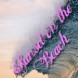 Sunset on the Beach - Saison 6 - Le r�cap' !