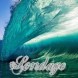 Sondage - 5x06 - CBS