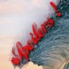 Saison 6 �pisode 10 - Spoilers !