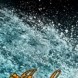 Titre �pisode