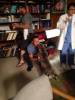 Hawaii 5-0 Photos - Behind the Scenes - Saison 4 