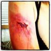 Hawaii 5-0 Photos - Behind the Scenes - Saison 4 