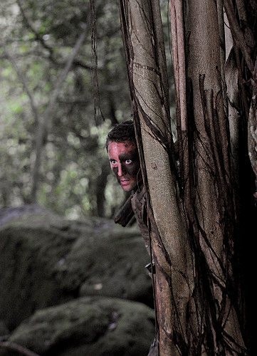 McGarrett se cache derrière un arbre.