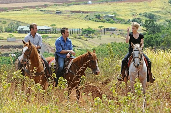 Steve, Danny & Lori ont chacun un cheval et discutent ensemble.