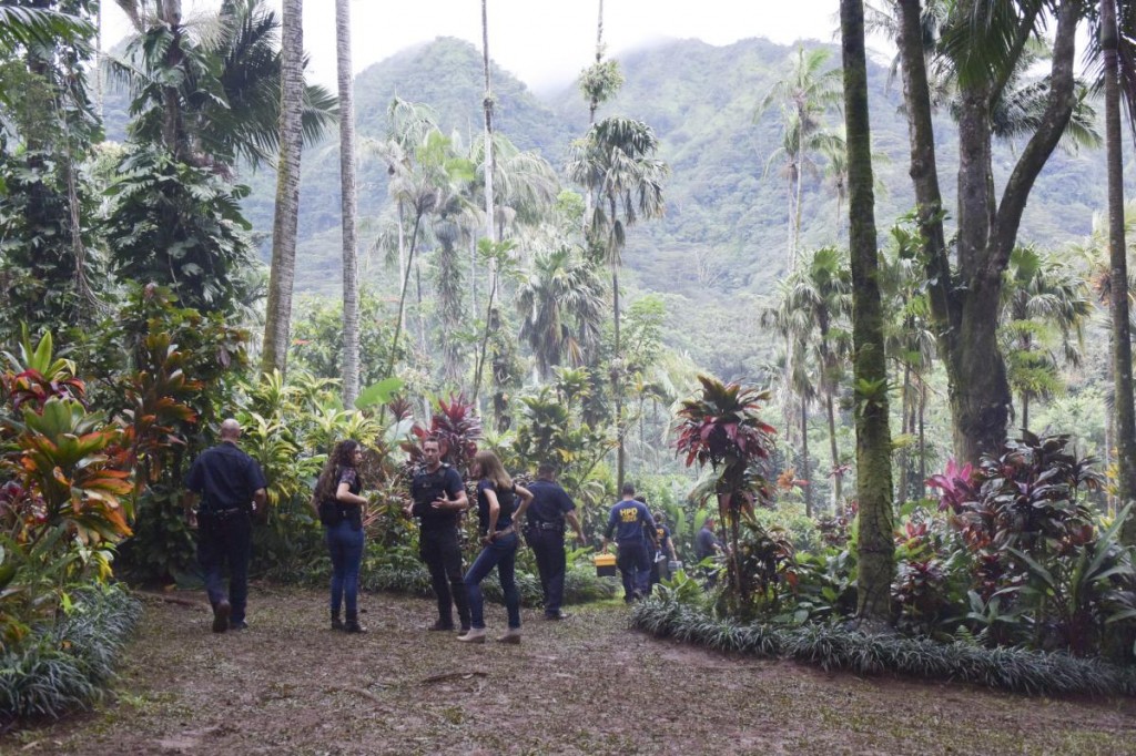 Au loin, Steve (Alex O'Loughlin), Tani (Meaghan Rath) et Alicia (Claire Forlani) discutent dans une forêt.