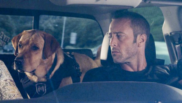 McGarrett (Alex O'Loughlin) est au volant de sa voiture et jette un regard sur son chien, Eddie.