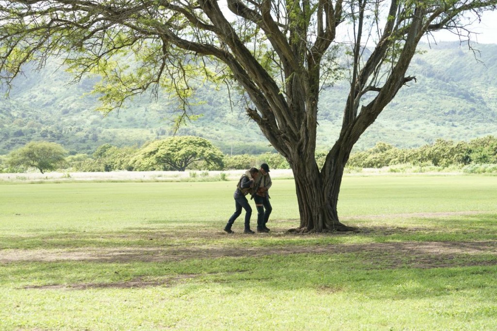 McGarrett (Alex O'Loughlin) aide son mentor, Joe White (Terry O'Quinn) à s'asseoir contre l'arbre...