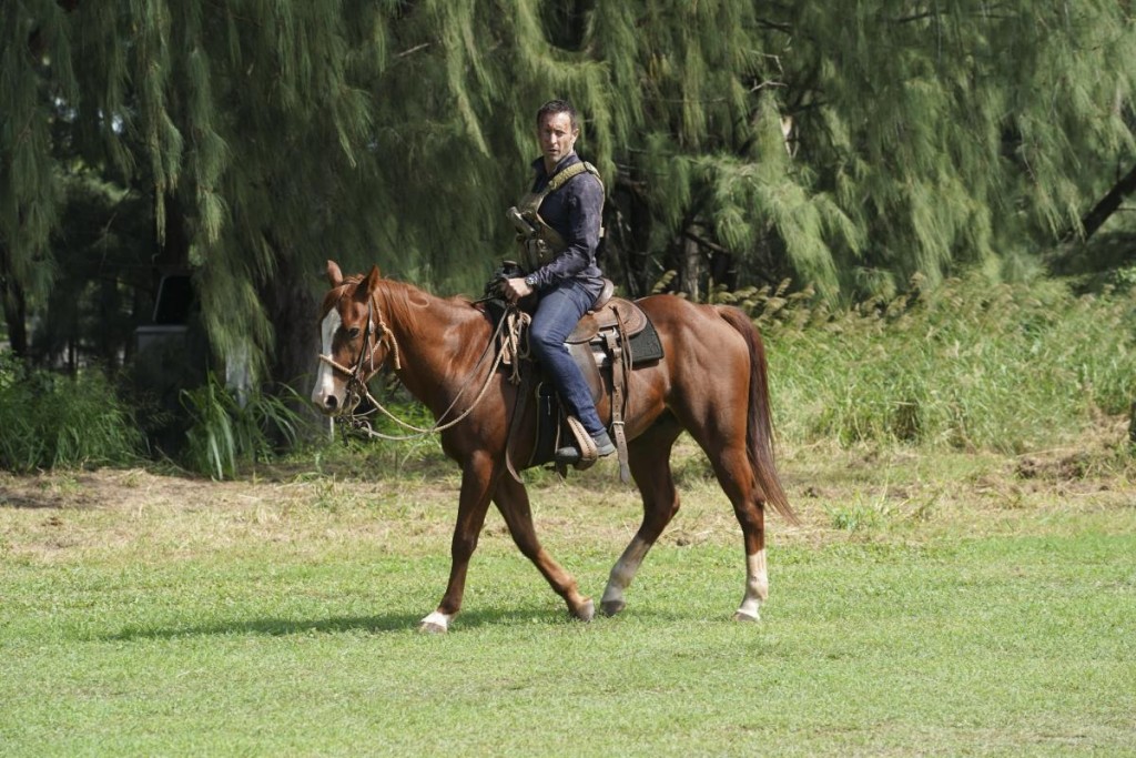 Steve McGarrett (Alex O'Loughlin) sur un cheval.