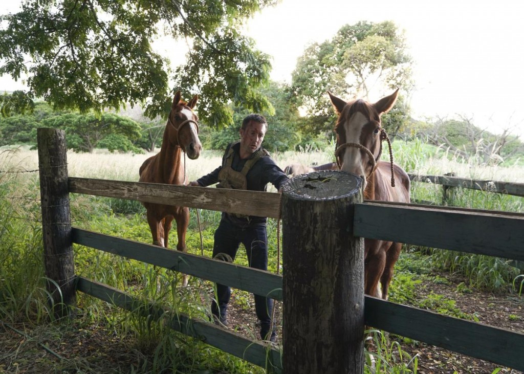 Steve McGarrett (Alex O'Loughlin) décide d'emprunter au propriétaire d'un ranch ses deux chevaux.