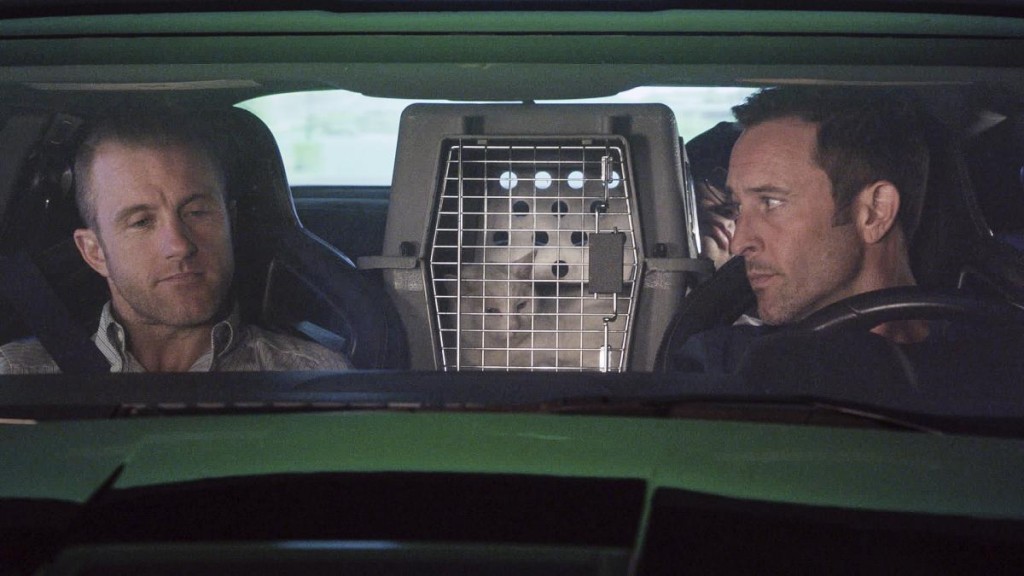 Danny (Scott Caan) et Steve (Alex O'Loughlin) sont en voiture avec Mr. Pickles.