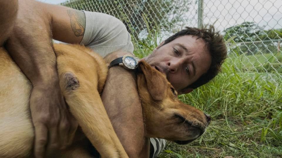 McGarrett (Alex O'Loughlin) serre son chien, Eddie, dans ses bras.