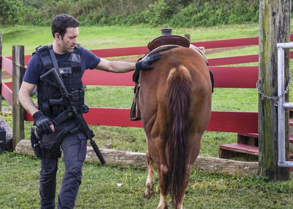 Steve (Alex O'Loughlin) donne une caresse à un cheval.