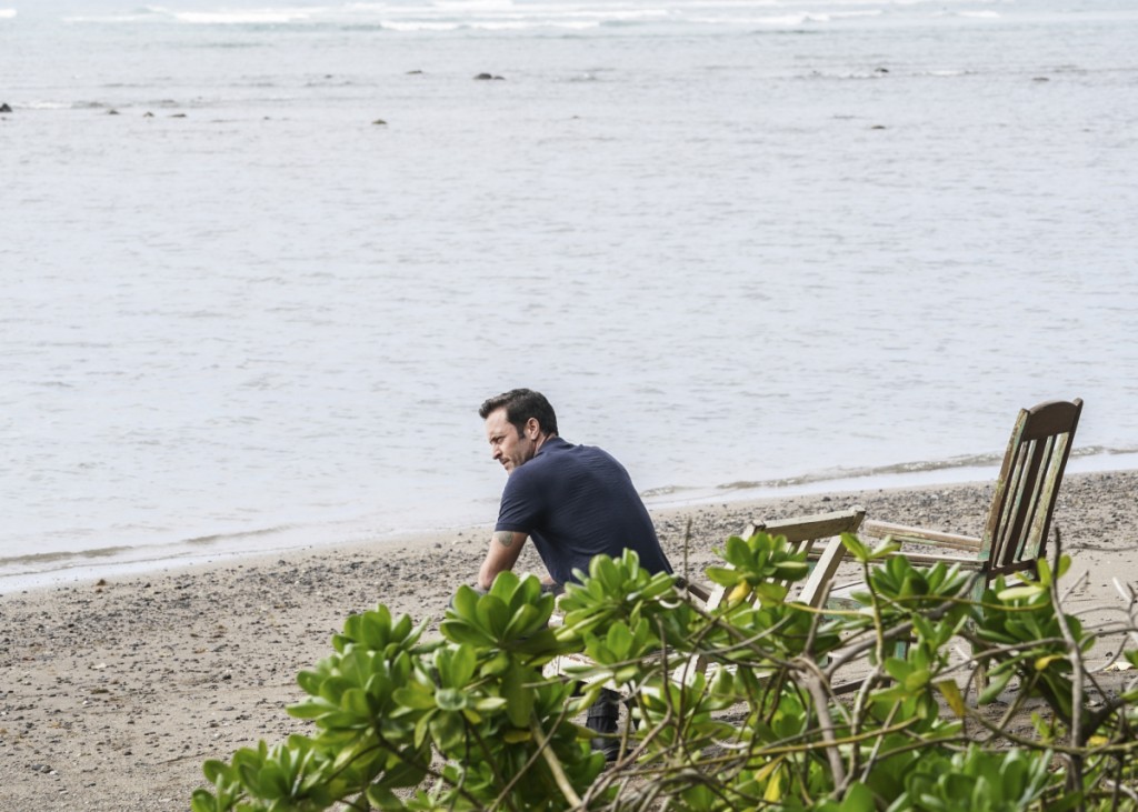 Steve (Alex O'Loughlin) se trouve sur sa plage privé.